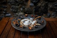 IzvanFokusa-1614- Rižoto sa šumskim gljivama