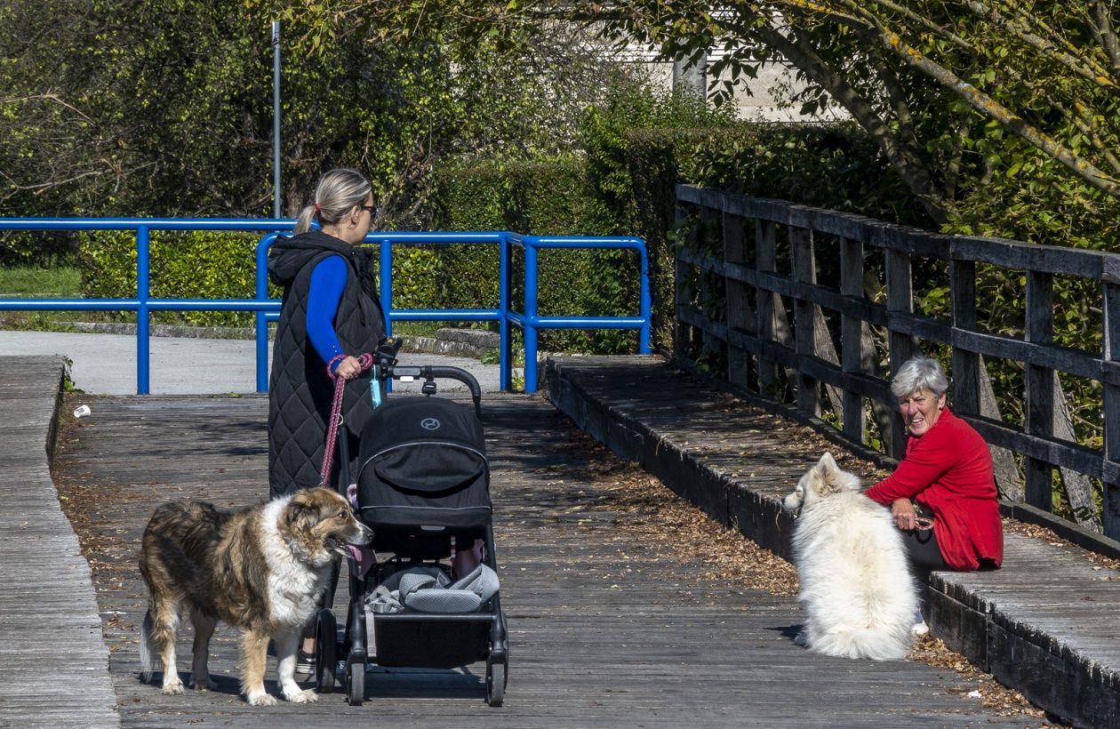 Karlovačkim ulicama (28)