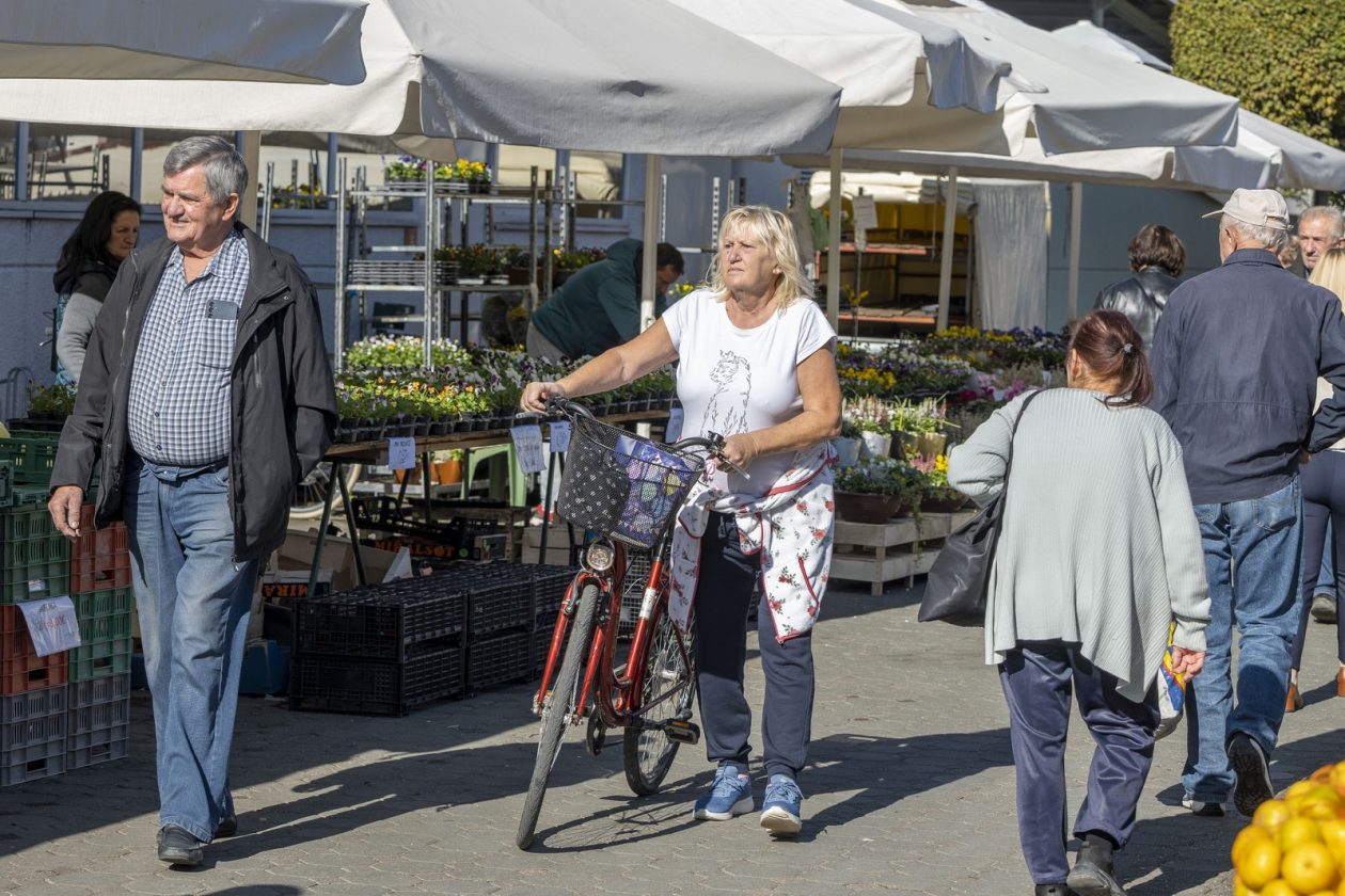 Karlovačkim ulicama (3)