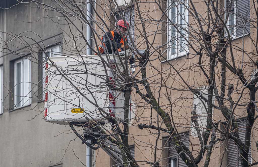 Karlovackim ulicama (41)