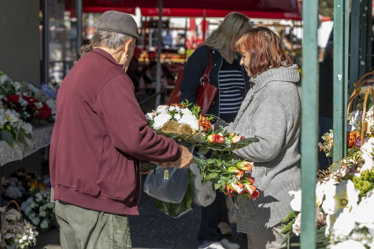 Karlovačkim ulicama (5)