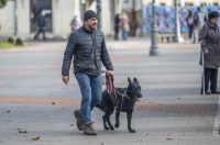 Karlovackim ulicama (6)