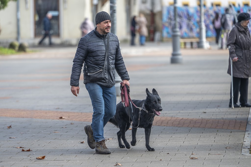 Karlovackim ulicama (6)