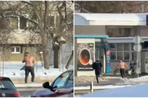 LS-9aaf0d95-8497-47cd-9d0f-98ede455fe64-550