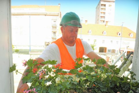 OLYMPUS DIGITAL CAMERA OLYMPUS DIGITAL CAMERA