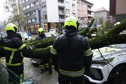 Zagreb:  Nevrijeme i jak vjetar ruše drveće koje pada po automobilima