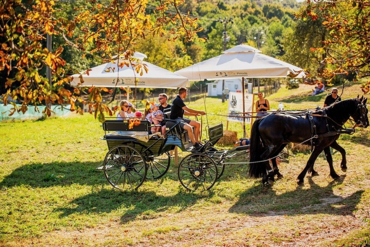 Počinje Štrudlafest