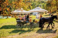 Počinje Štrudlafest