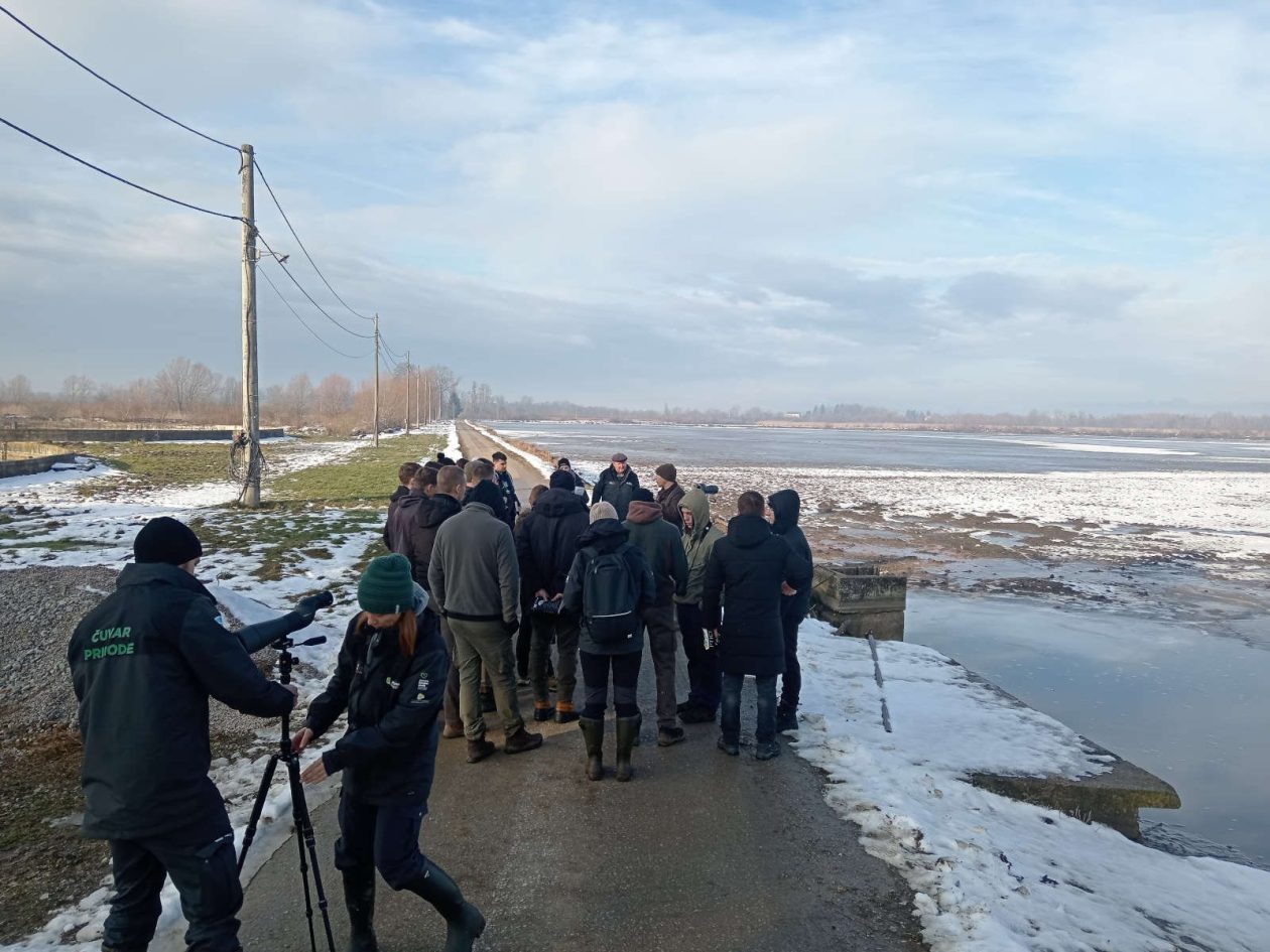 Ribnjaci Dragani_brojanje ptica 03