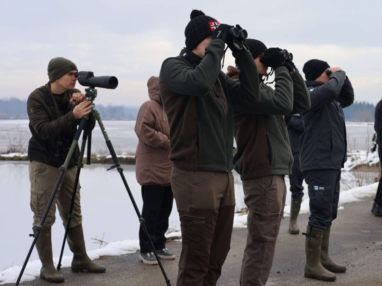 Ribnjaci Dragani_brojanje ptica 05