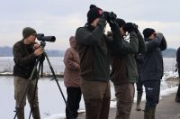 Ribnjaci Dragani_brojanje ptica 05