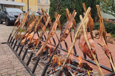 Saran na rasljama Saran na rasljama