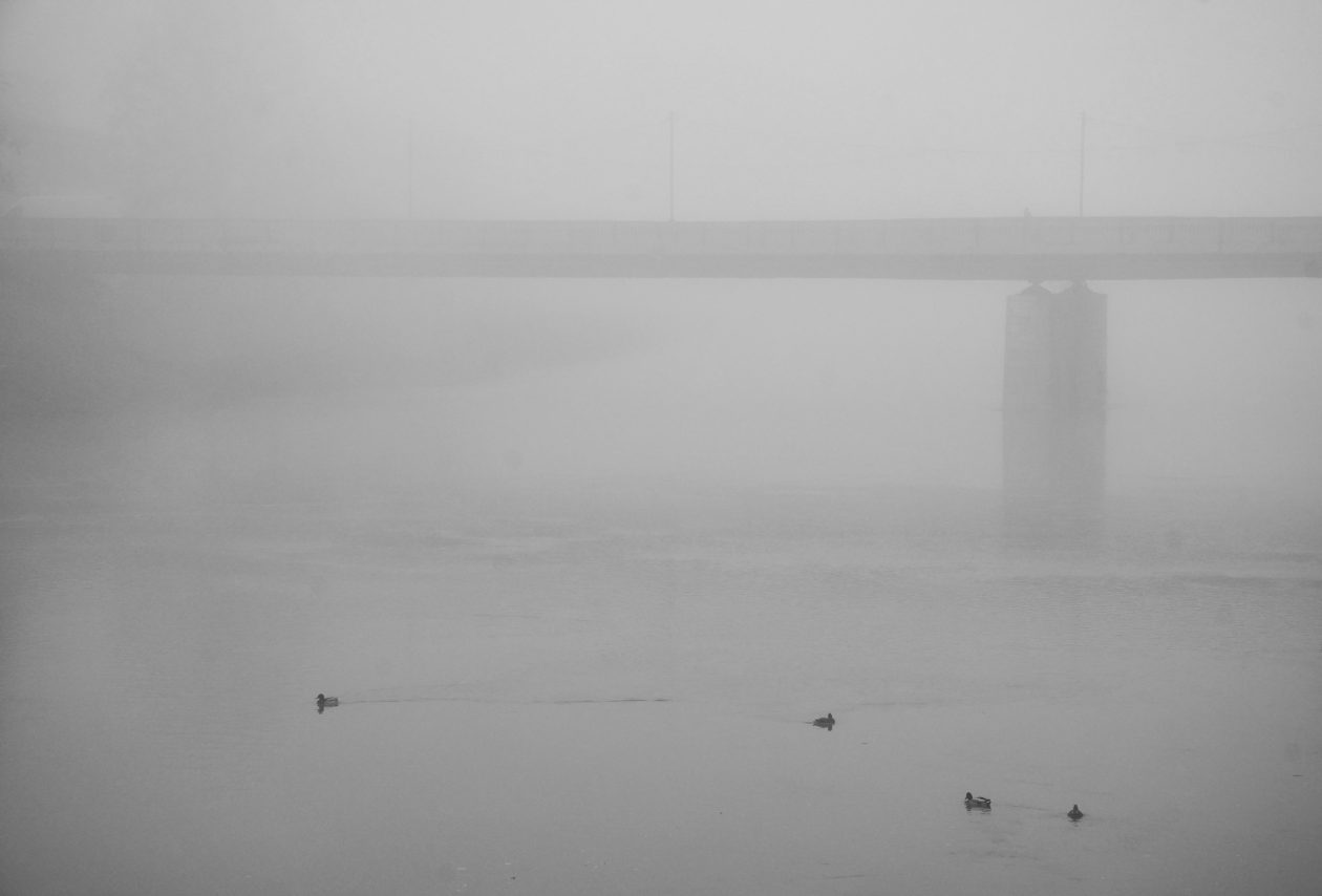 Utješna nagrada_Mihalić Matej_Nad Kupom