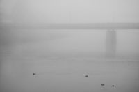 Utješna nagrada_Mihalić Matej_Nad Kupom