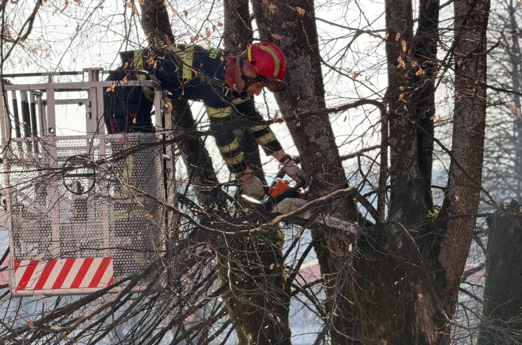 WhatsApp-Image-2026-03-16-at-08.53.04 WhatsApp-Image-2026-03-16-at-08.53.04