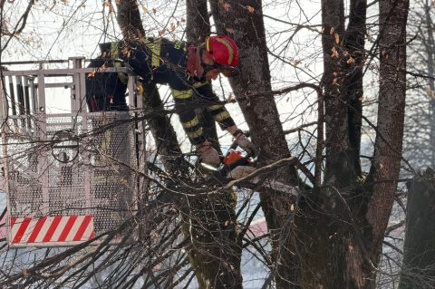 WhatsApp-Image-2026-03-16-at-08.53.04