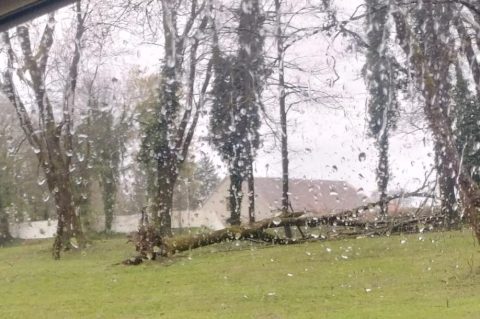 WhatsApp Image 2026-03-26 at 16.54.44