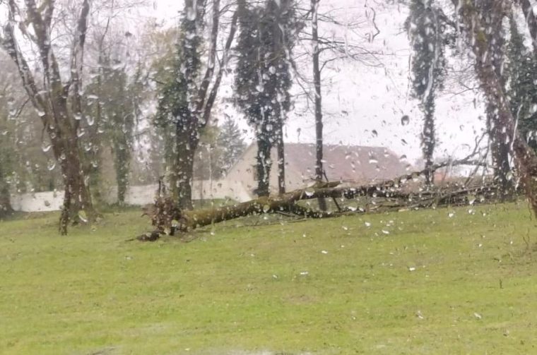 WhatsApp Image 2026-03-26 at 16.54.44 WhatsApp Image 2026-03-26 at 16.54.44