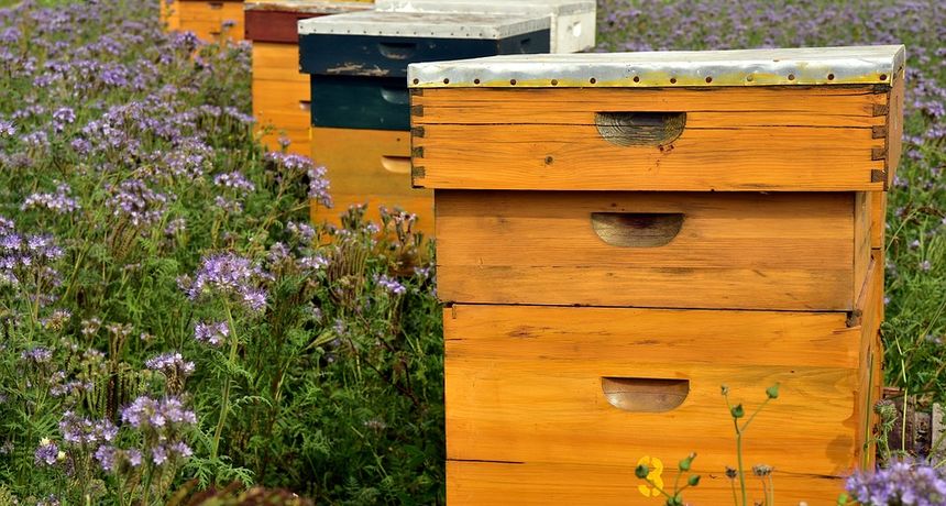 beehive3703426960720kosnice beehive3703426960720kosnice