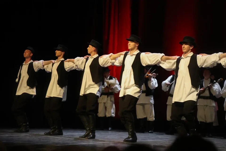 ansambl lado (11) ansambl lado (11)