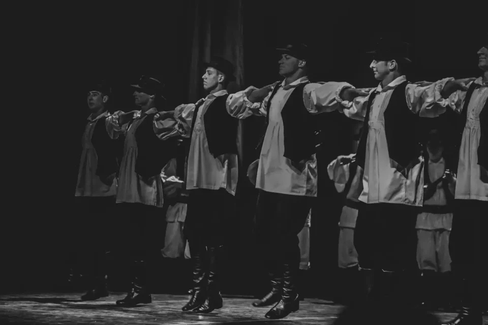 ansambl lado (12) ansambl lado (12)