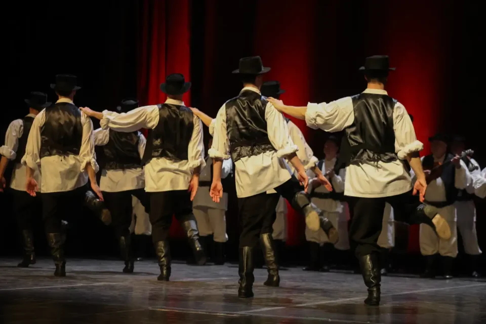 ansambl lado (13) ansambl lado (13)