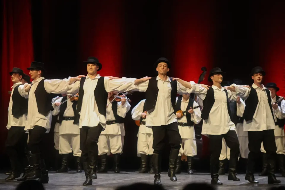 ansambl lado (14) ansambl lado (14)