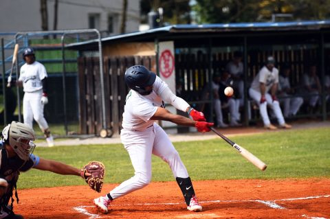 baseball bejzbol (0)