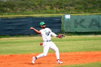 baseball bejzbol (1)