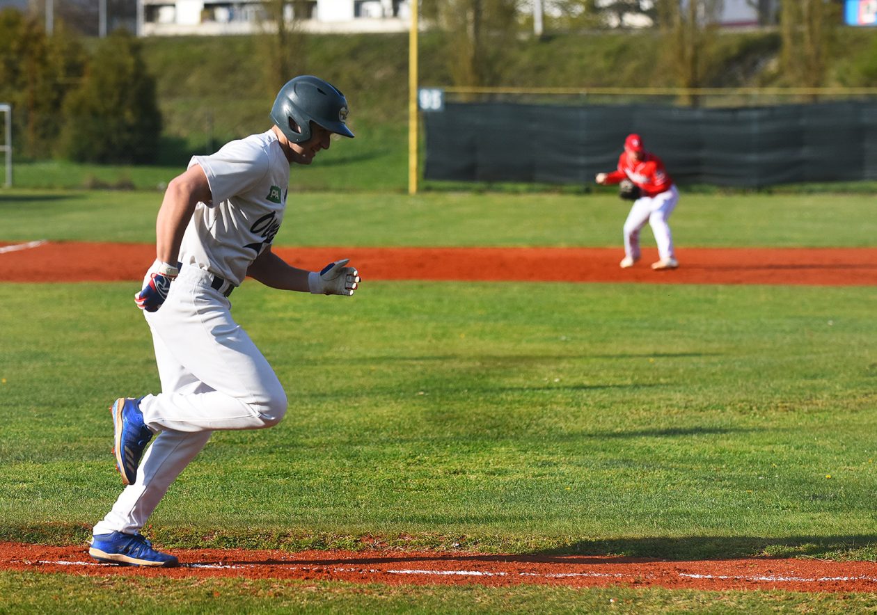 baseball bejzbol (12)