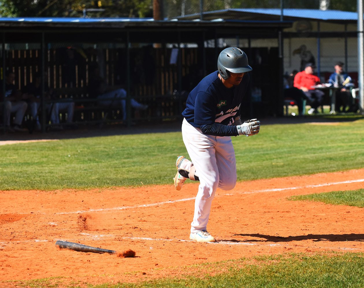 baseball bejzbol (13) baseball bejzbol (13)