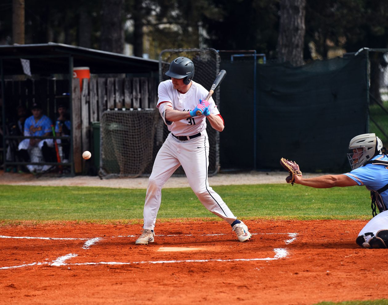baseball bejzbol (14)