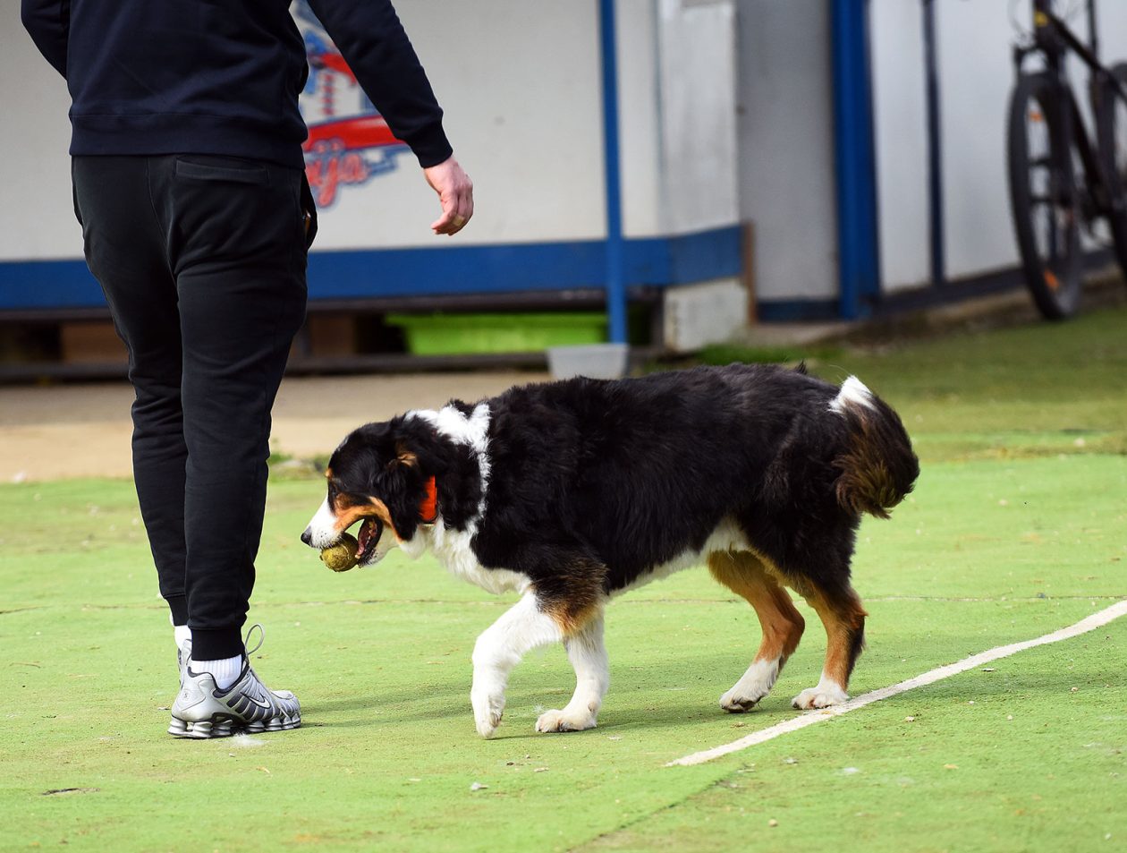 baseball bejzbol (15)
