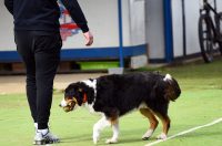 baseball bejzbol (15)