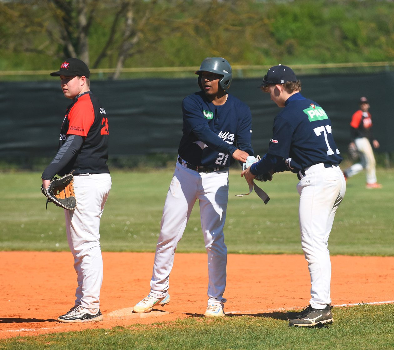 baseball bejzbol (15) baseball bejzbol (15)