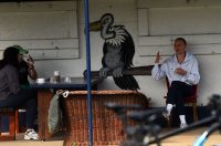 baseball bejzbol (16)