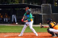 baseball bejzbol (16)