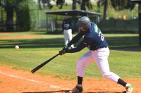 baseball bejzbol (16) baseball bejzbol (16)