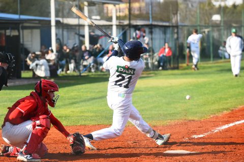 baseball bejzbol (2) baseball bejzbol (2)