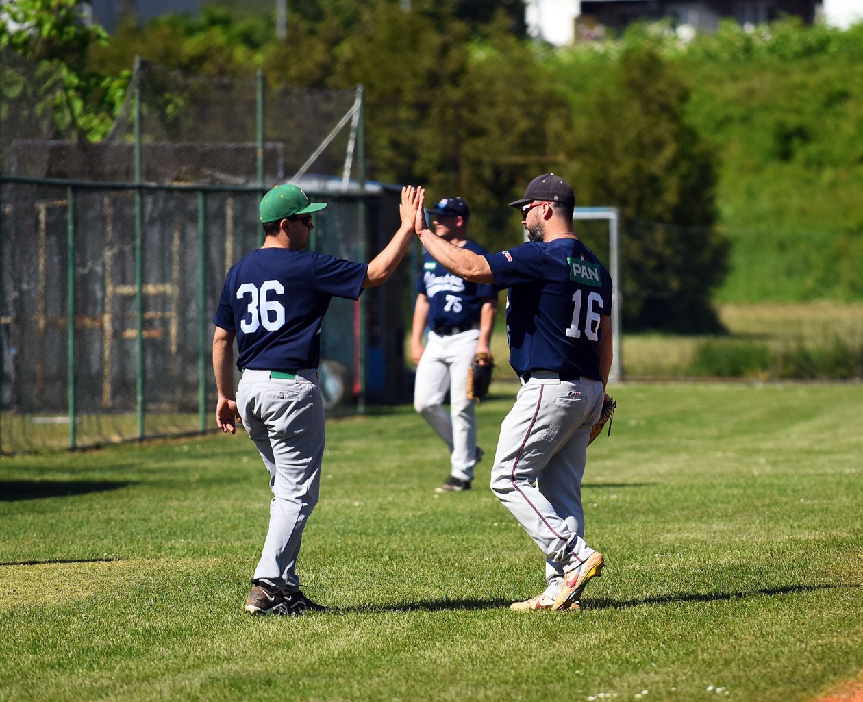 baseball bejzbol (20)