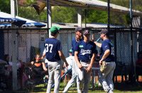 baseball bejzbol (21)