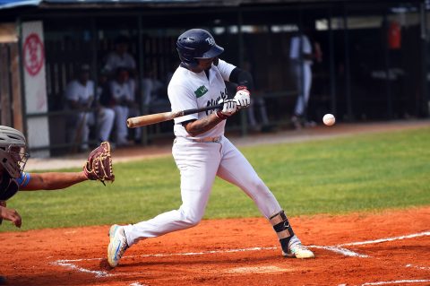 baseball bejzbol (24)