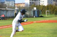 baseball bejzbol (4)