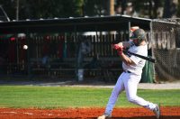 baseball bejzbol (6)