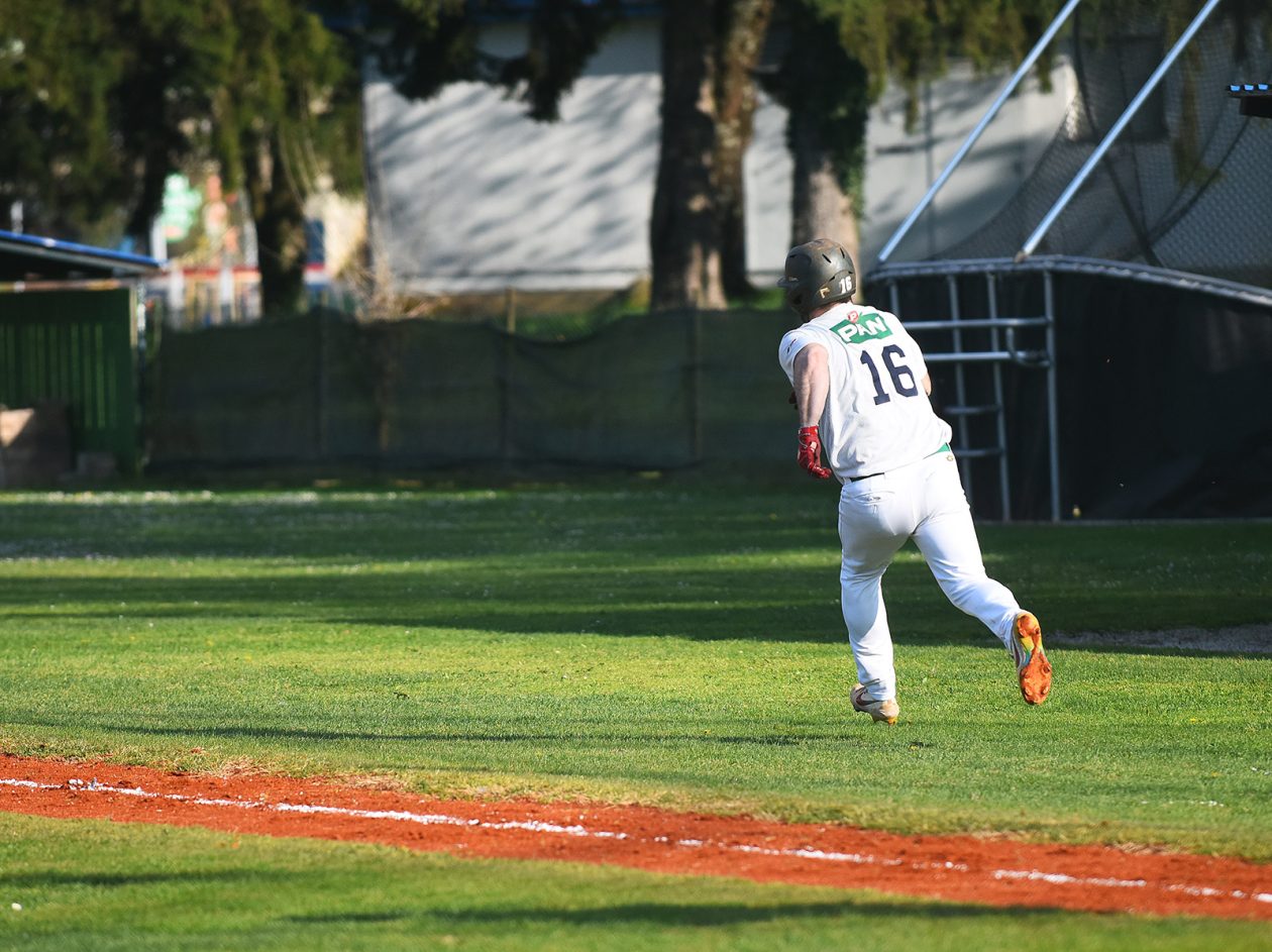 baseball bejzbol (7)