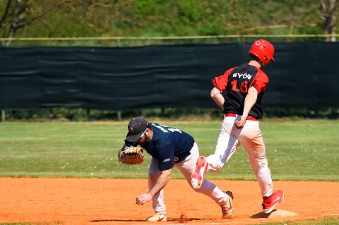 baseball bejzbol (7) baseball bejzbol (7)