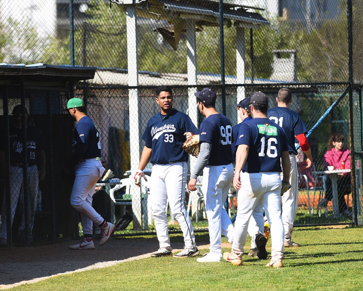 baseball bejzbol (8) baseball bejzbol (8)