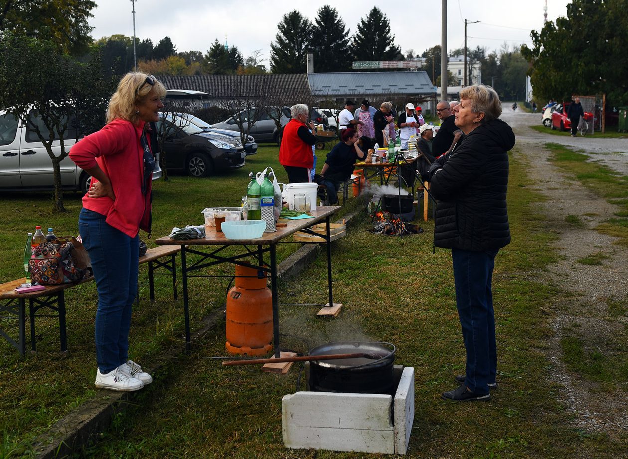 beskucnici (10) beskucnici (10)