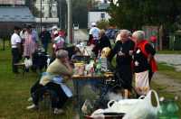 beskucnici (11) beskucnici (11)