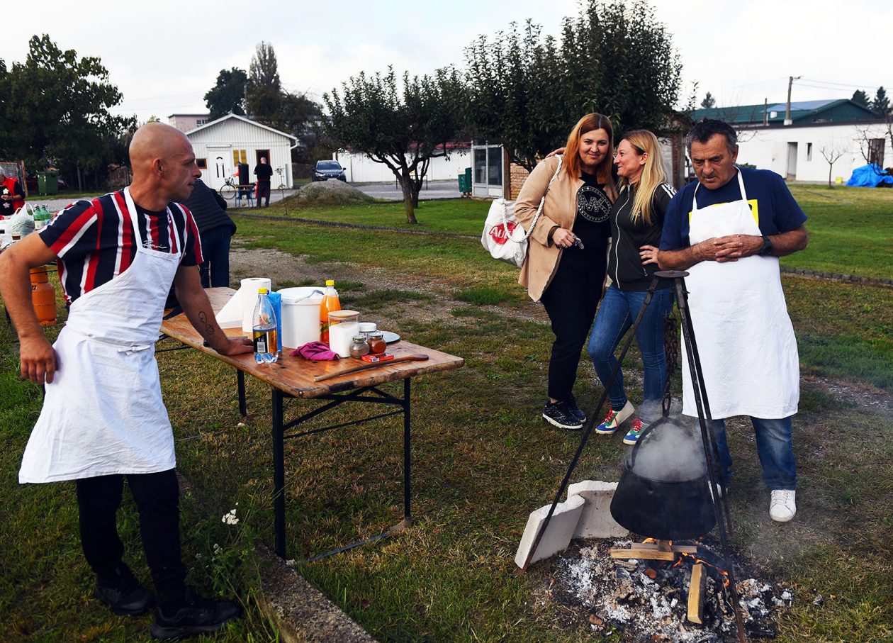 beskucnici (12) beskucnici (12)